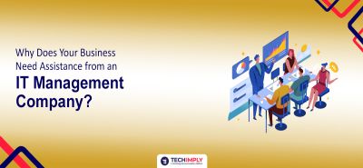 Business Need Assistance from an IT Management
