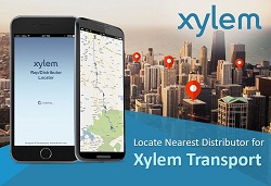 Xylem