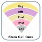 Stemcellcure india