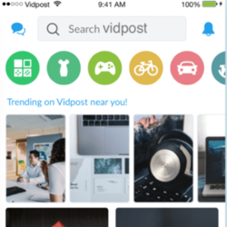 Vidpost