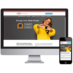 Shopify For Lifesaving eCommerce
