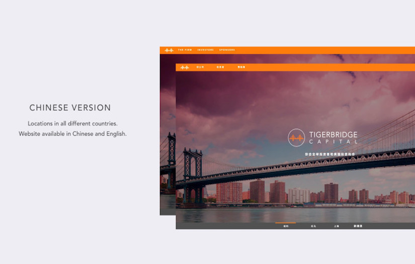 TIGERBRIDGE CAPITAL WEBSITE