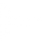 Nettechnocrats