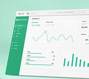 RAISTONE CAPITAL