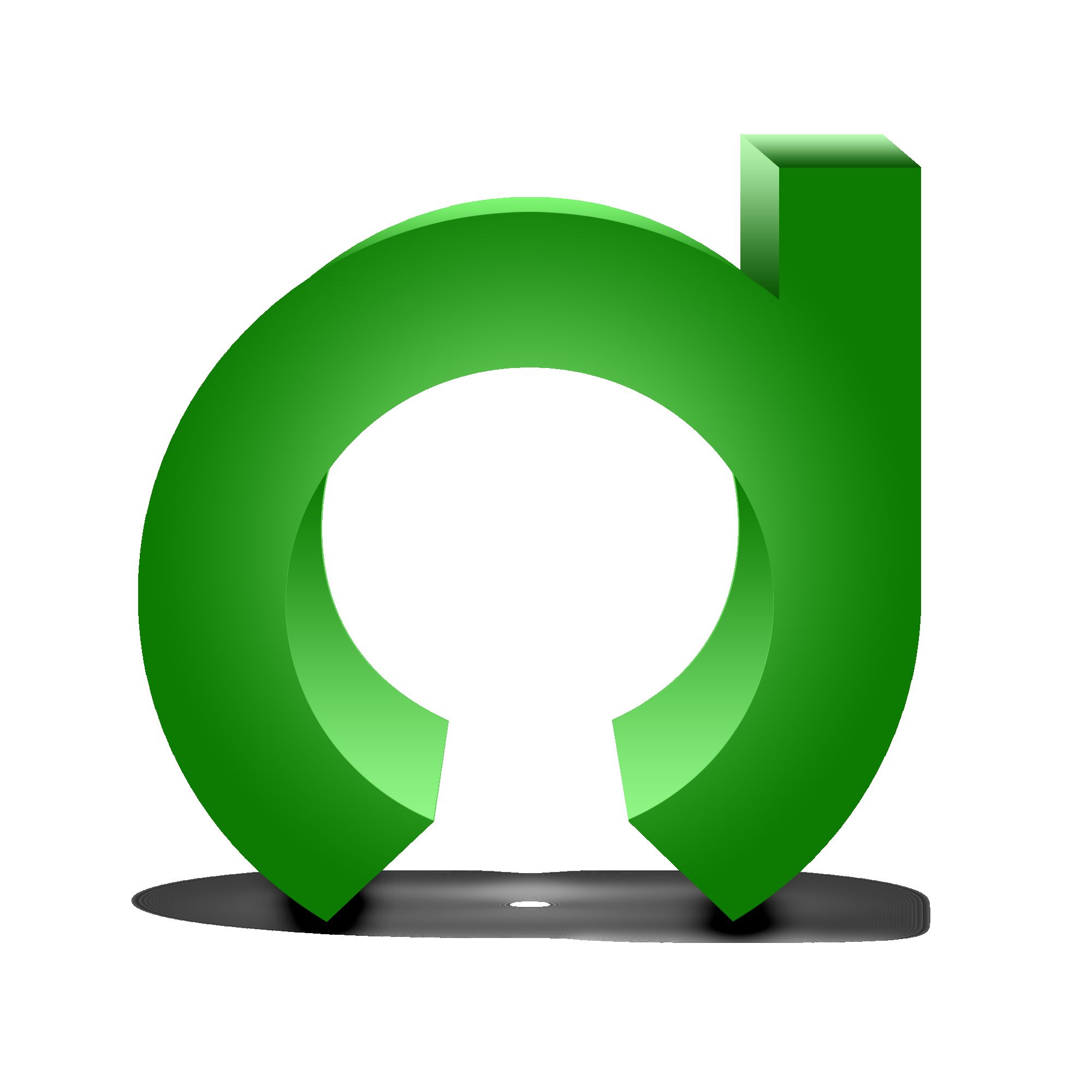 DynaSoft India LLP