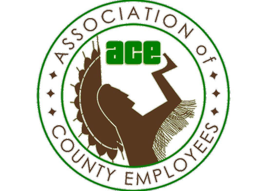 Sedgwick County ACE