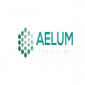 Aelum Consulting