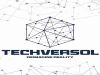 Techversol Inc 
