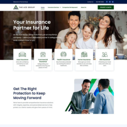 The Ace Group