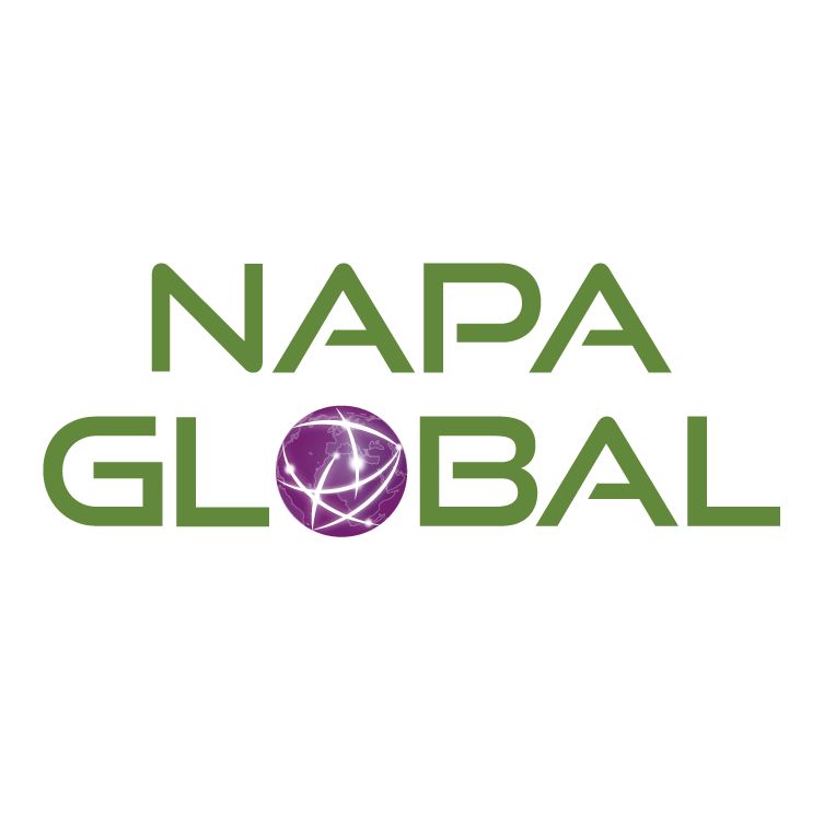 NAPA Global | IT Services and Consulting