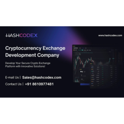 Crypto exchange development