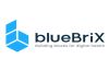 Patient Engagement Solutions by blueBriX
