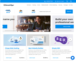 Domain Flyer