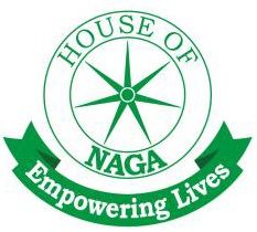 HOUSE OF NAGA( AI INVOICE DATA ANALYST) HOUSE OF NAGA( AI INVOICE DATA ANALYST)