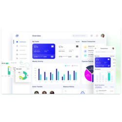 Salesforce Upgrade Cloud Web App Case Study