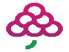 GrapesTech Solutions Pvt. Ltd.