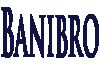 Banibro IT Solutions
