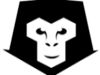 Snow Monkey