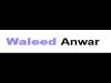 Waleed Anwar