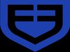 FluxForce AI 