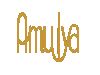 AmulyaInfotech India Pvt. Ltd.