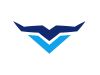 Veemi Accounting