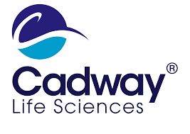 CADWAY CADWAY