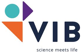 vib vib