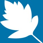StarLeaf