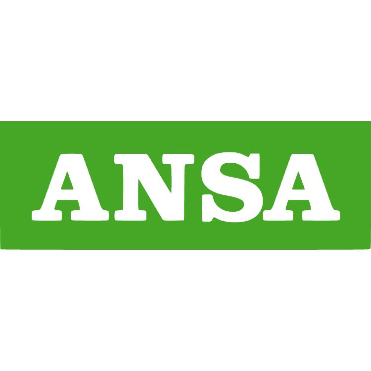 ansa