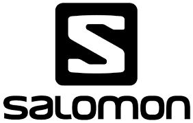 salamon logo salamon logo