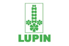 Lupin Lupin