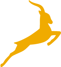 Signavio