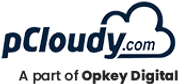 pCloudy