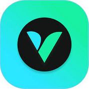VidScout