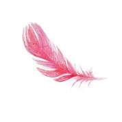 Feather