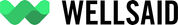 WellSaid Studio