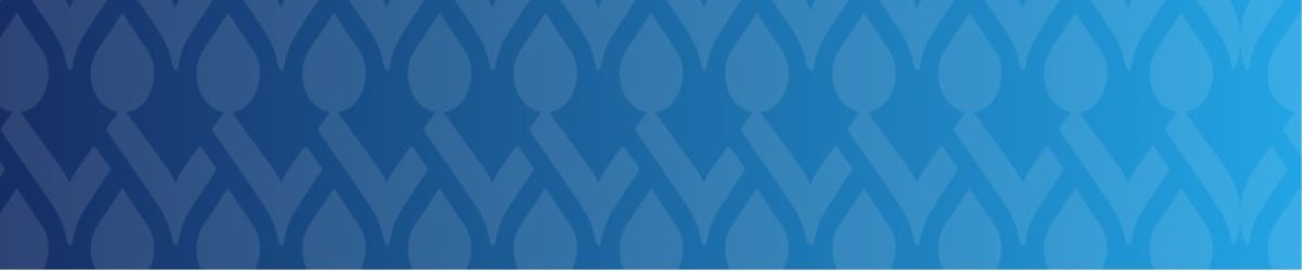 Drupal CMS