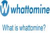 WhatToMine
