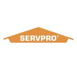 servopro