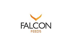 Falcon