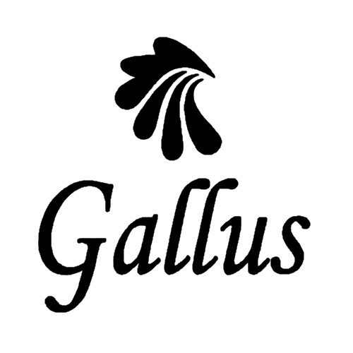 Galaxy Garments