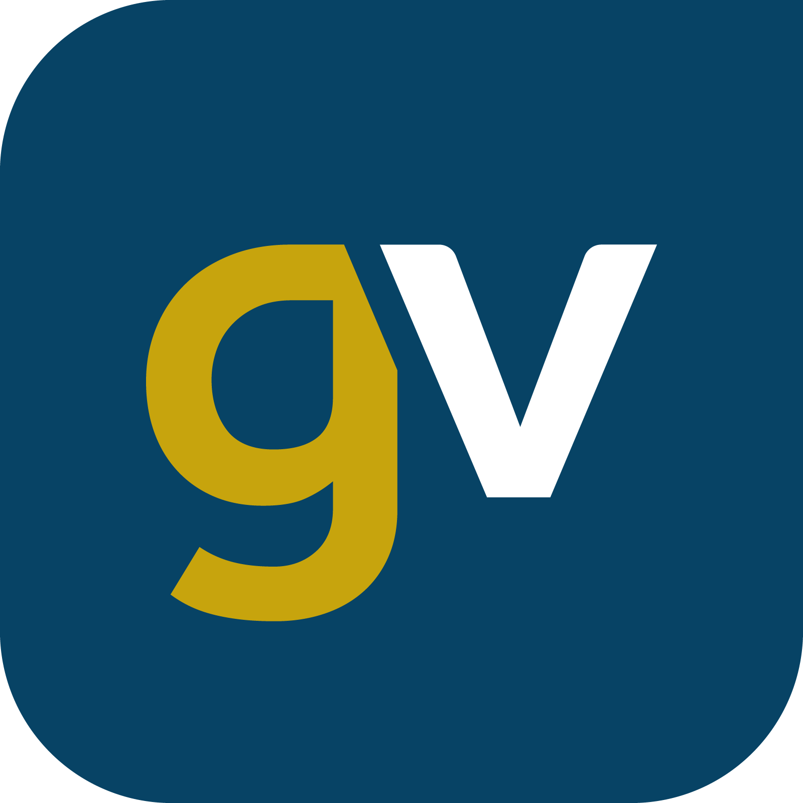 Gold-Vision CRM